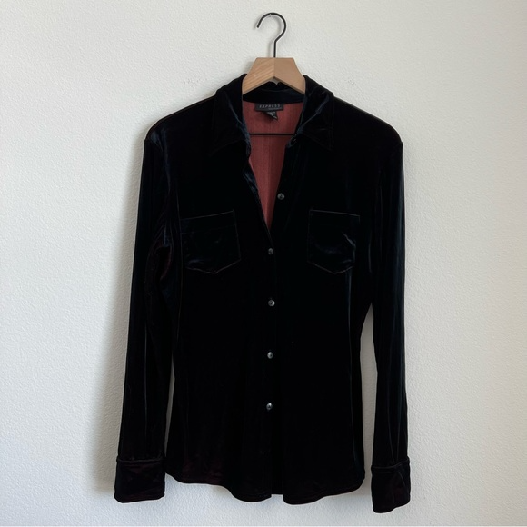 Express Vintage Velvet Button Down Long Sleeve Top